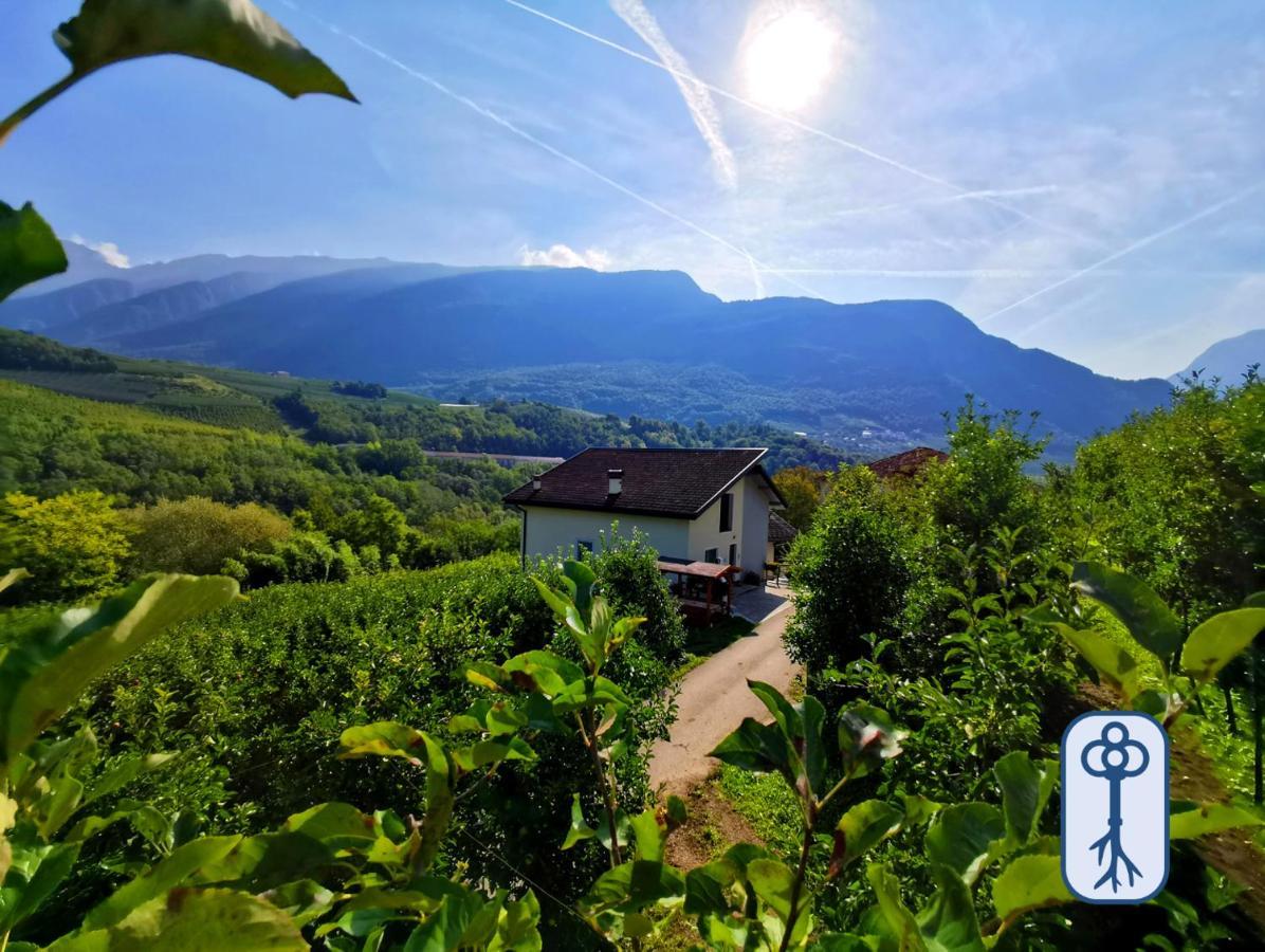 Casa Vacanze Antico Eremo, Tra Natura E Tradizione Campodenno Ngoại thất bức ảnh